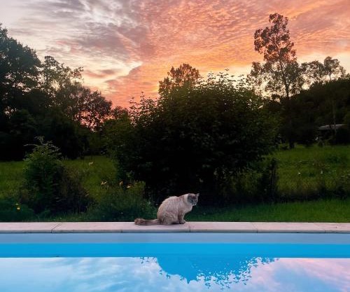 La Maison aux pieds des Pyrénées - Piscine d'exception de 25m