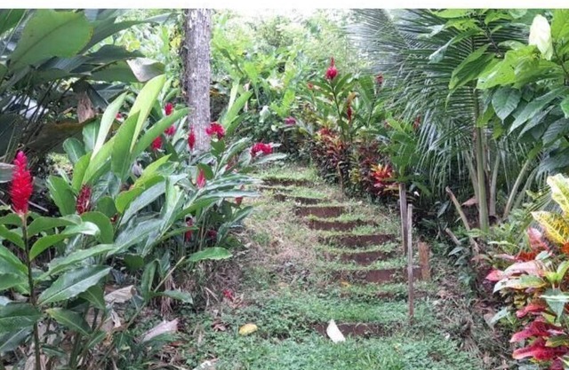 La Mariola - Finca Agroecológica