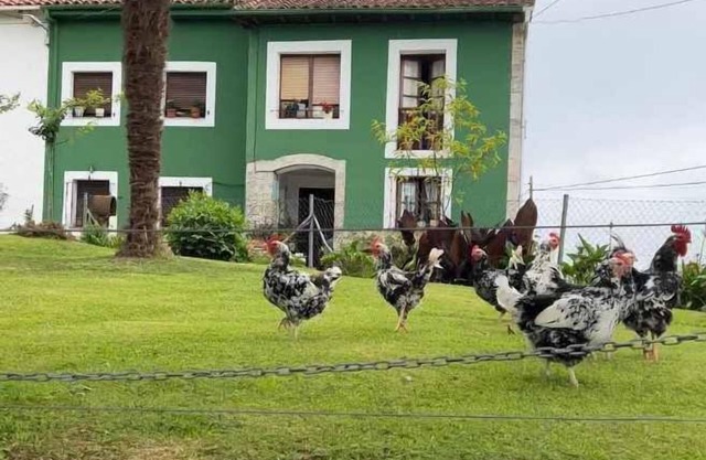 La Pereda Rural House