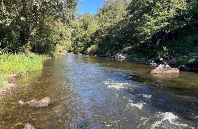 La rive du Viaur