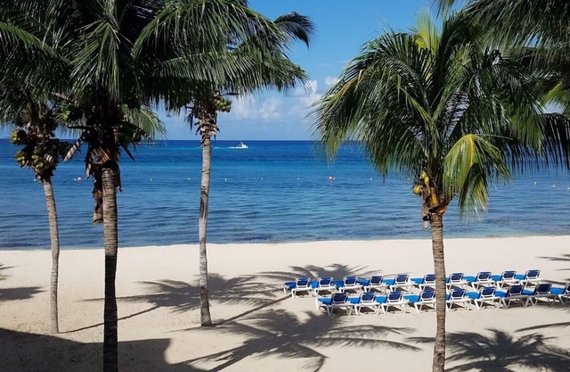 La Tortuga del Mar 5230 Beachfront 1 BR; breathtaking views of the Caribbean!