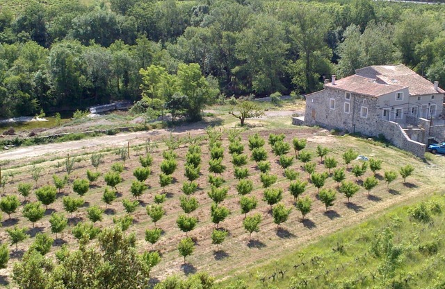 La Tour riverside gîte