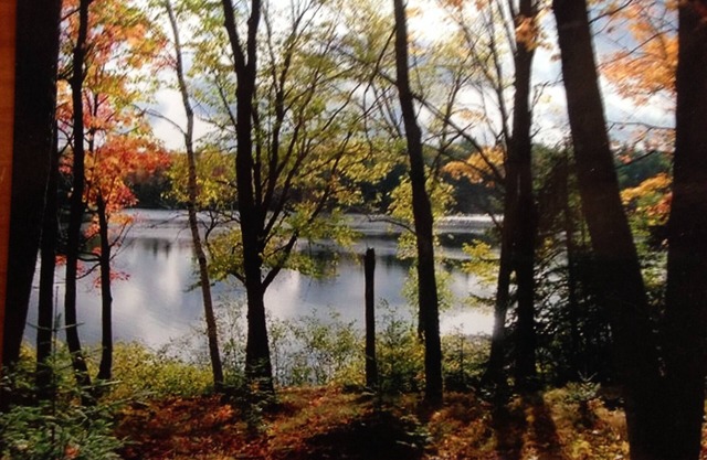 Lake Cottage Northern Wisconsin, Mercer