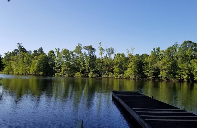 LAKE EFFECTS - WATERFRONT w/PIER & FIRE PIT, WIFI, BEAUTIFUL & PEACEFUL 3BR/2BA
