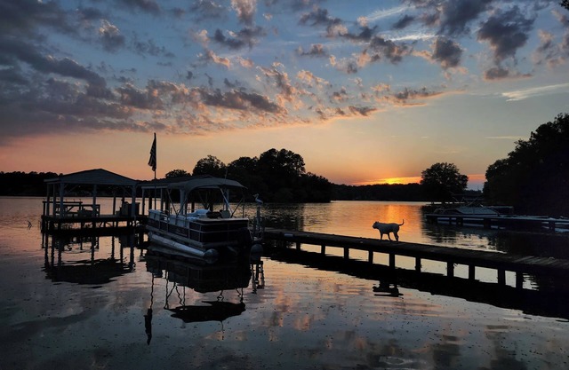 Lake Greenwood Guesthouse-Bring your boat and your pup!