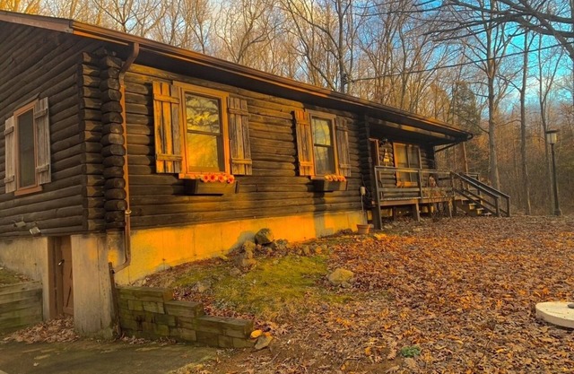 Lake Road Log Cabin A — Million Dollar Ozark view!