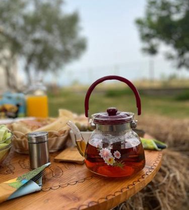 Lake shkodra