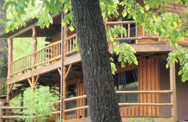Lake Shore Cabin on Beaver Lake Waterfront with Boat Dock w/Slips