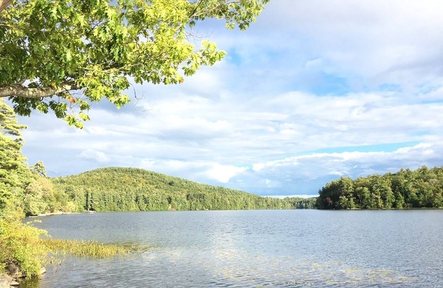 Lake winnnepocket get away