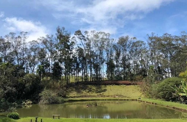 Lake with fish, stream with waterfall, swimming pool, orchard. Worth a look