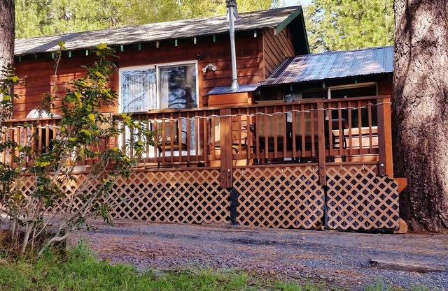 Lakeside Cabin, Cozy Family Pet-Friendly, Beautiful Views, Free Dock & Boat Slip