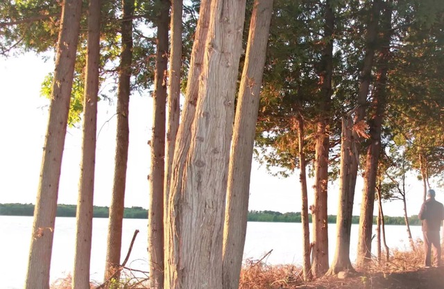 Lakeview campsite G
