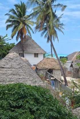 Lala House by Masala Living