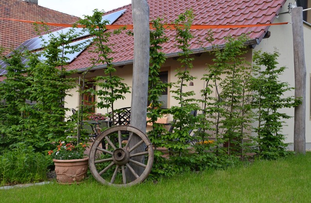 "LANDROMANTIK" amidst the heath and pond landscape at the gates of Bautzen