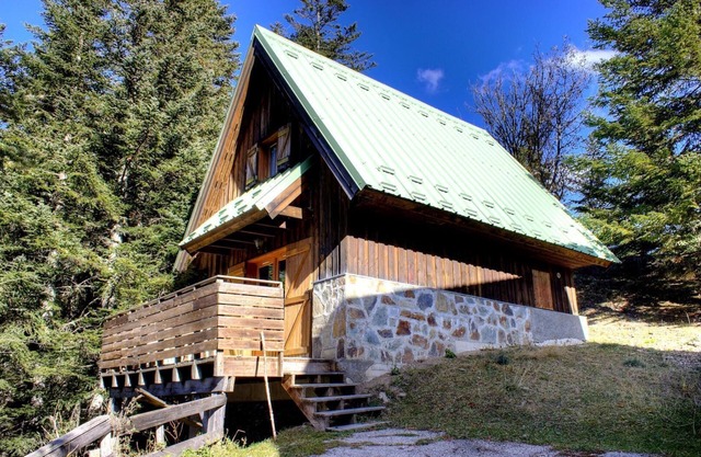 Larch - LA BOLLENE-VESUBIE