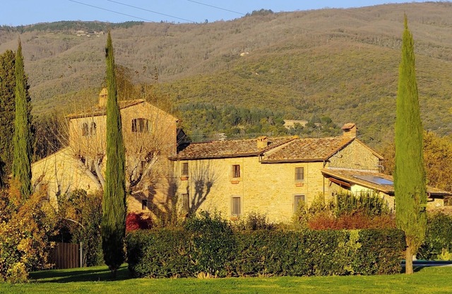 Large country apartment in Cortona 1bed1bath with shared pool & gorgeous gardens