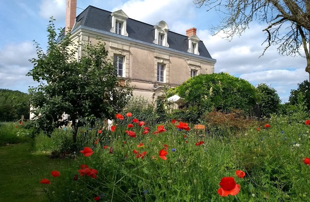 Large country mansion with chef's kitchen in Loire wine and chateau region
