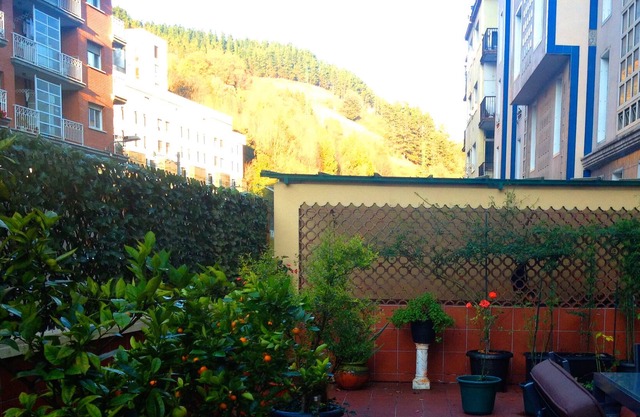 Large, cozy, quiet apartment and large terrace shared with owner