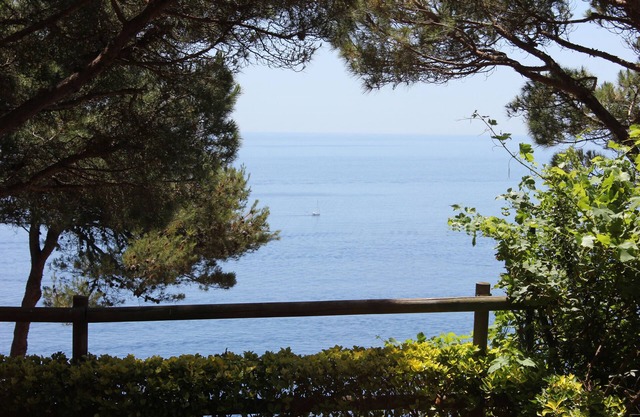 Large luxury home, stunning views, in green oasis, private garden, huge pool