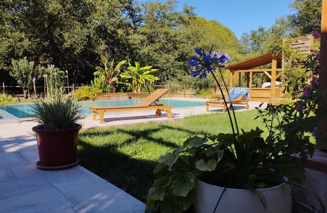 Large Pool under oaks