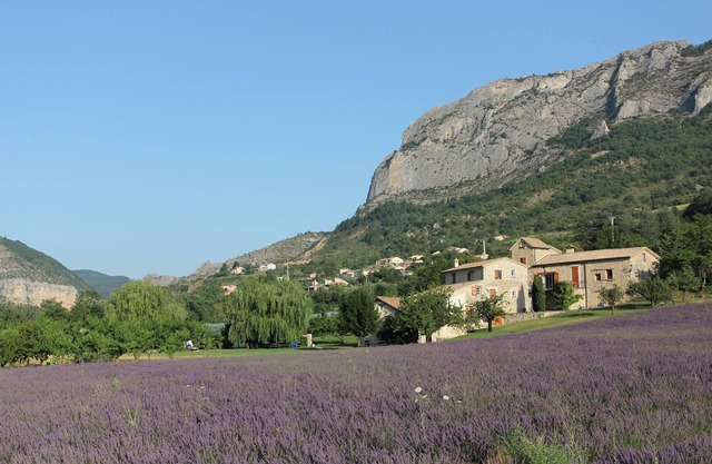 Large Provencal house, huge garden and lavender (Le Moulin, Maison du Haut)