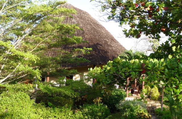 Large villa for up to 10 people, 5000 m² large tropical garden + private pool