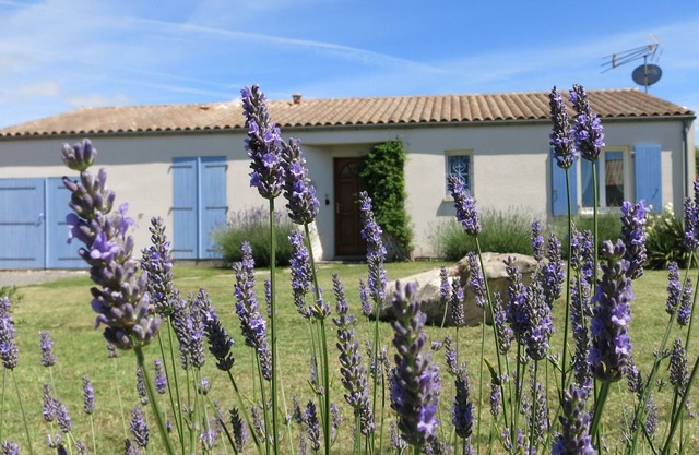 Lavender House has 2 bedrooms sleeping 4 people.