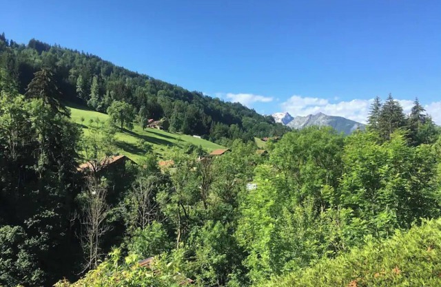 Le Cocon au Bord de la Rivière