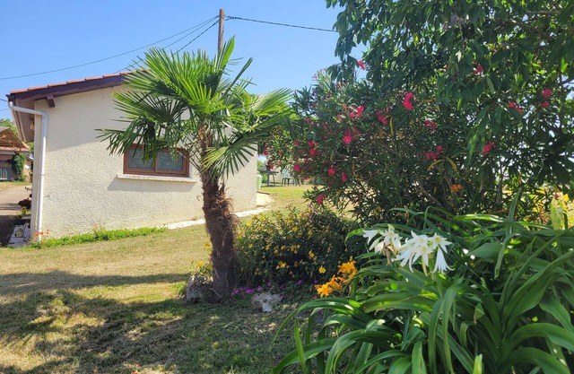 Le Gîte De Gayssanes: Charm and Tranquility in the Heart of Nature