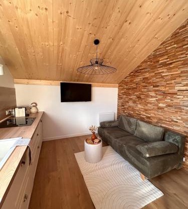 Le Mélèze, chaleureux appartement 4pers près de Genève & Annecy