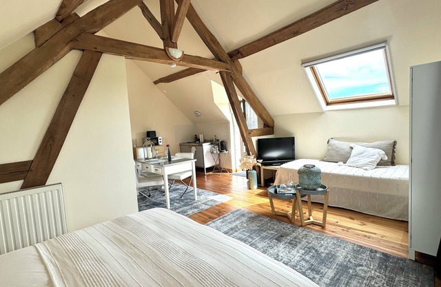Le Moulin d'Olivet - 10min from Beauval zoo, in the heart of the Loire castles
