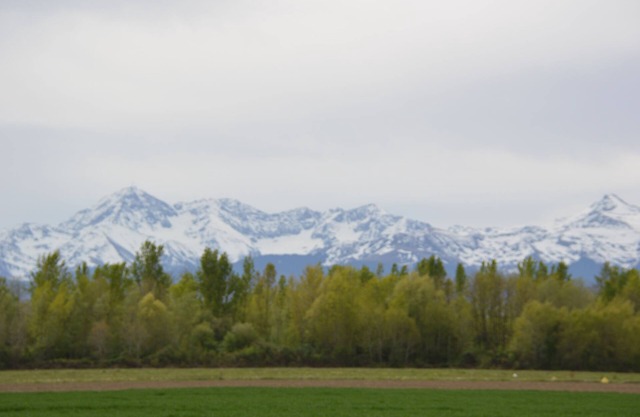 Le PYRENEA (Ministerial classification) Quiet near the center. Proximity to Adour.