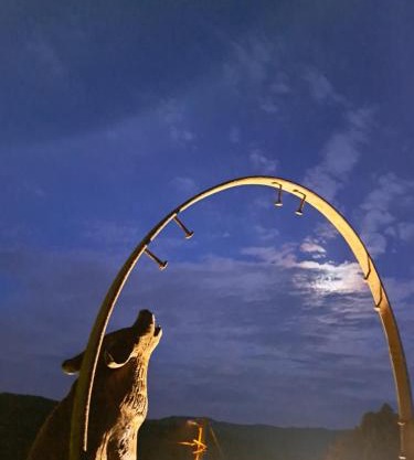 Le Repère du Loup