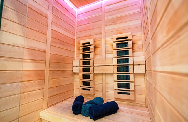 Le Rex - Bel appt avec sauna