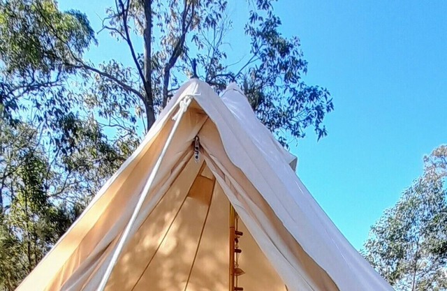 Leave the rat race & energise yourself in nature in our luxurious Glamping Yurt!