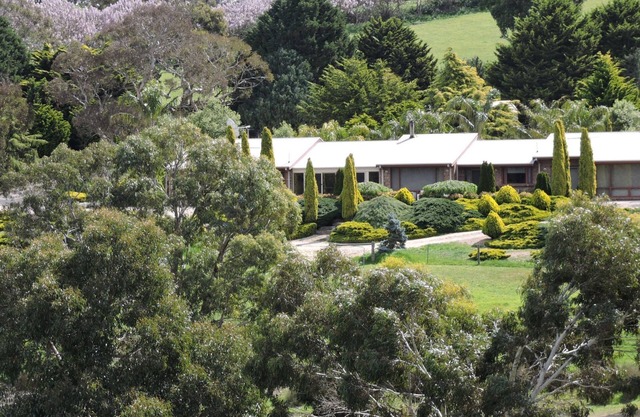 Leawarra stays in the farm | Fleurieu Peninsula