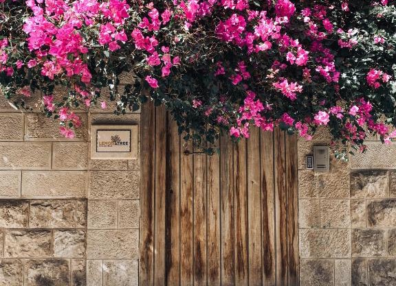 Lemon Tree Residence