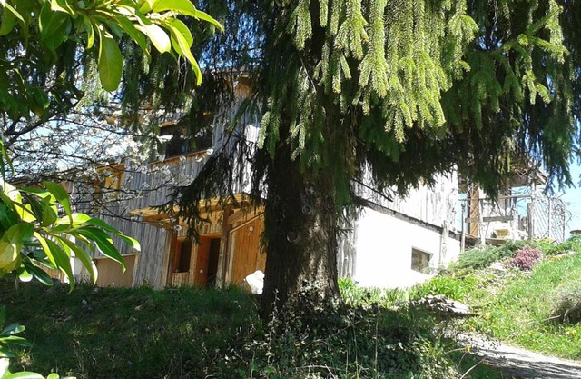 LES ACACIAS