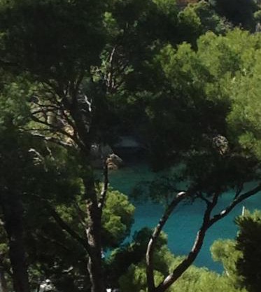 Les terrasses des Anthenors