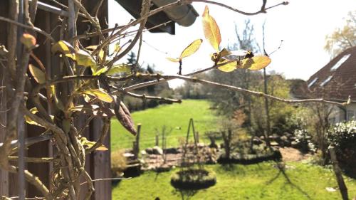Lindenallee 4a - Erholung und Wellness