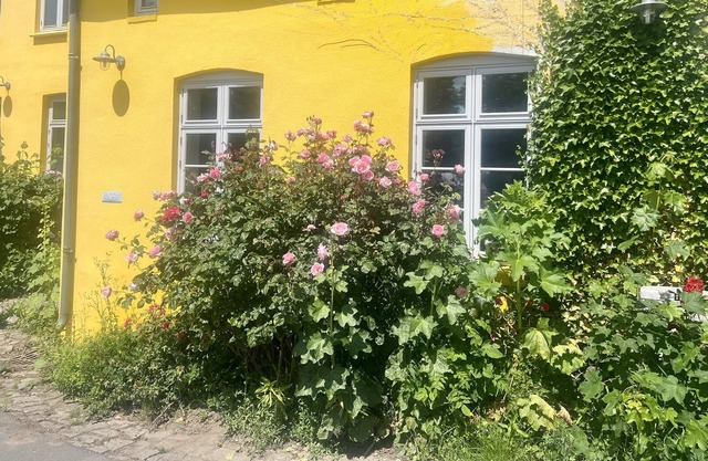 Lindenhof ChezArtistes
