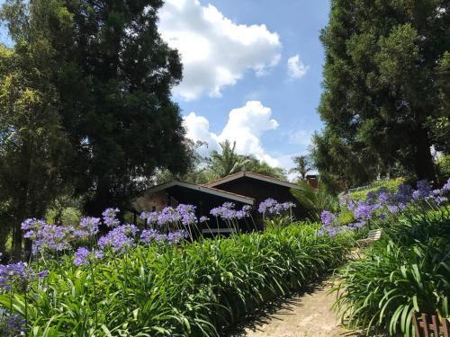 Lindo e aconchegante chalé com piscina, lareira e churrasqueira