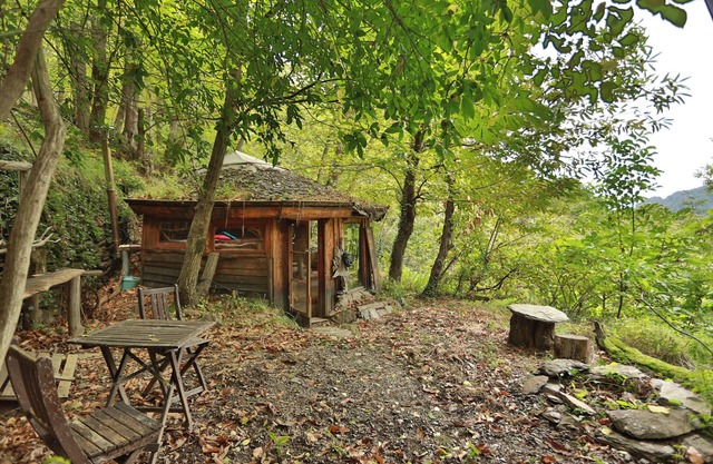 Little cabin in the woods