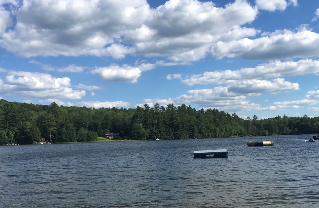 Little Cabin Retreat Waterfront Access/Dog Welcome