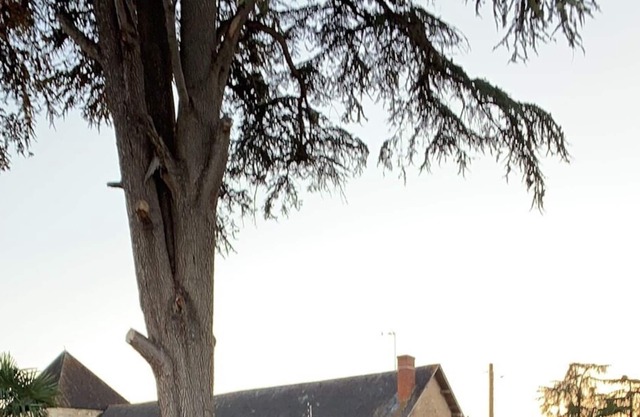 Little house