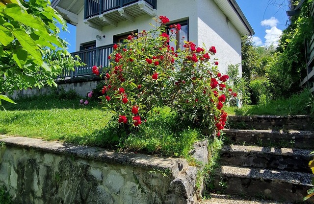 Little house of happiness, large garden, close to the lake. Breathtaking view.
