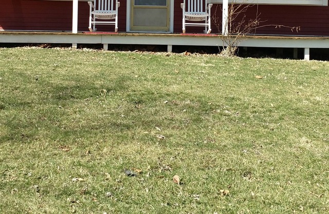 Little Red cabin by The Spoon River