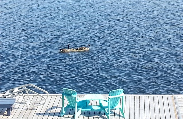 Live your Best Life at the Lake