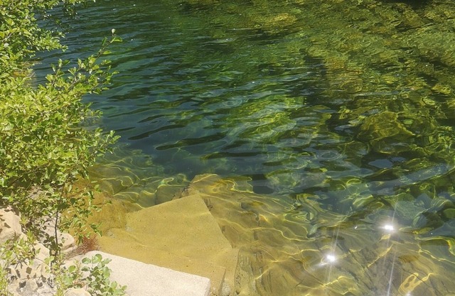 Lodge SALUTE, Lodge by the river, in the heart of nature