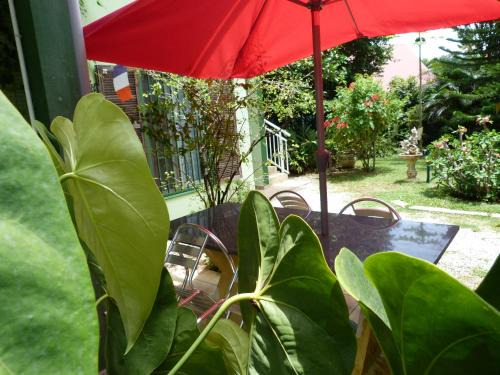 Lodge Takini 4